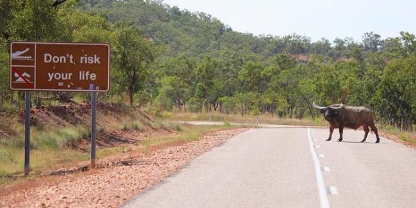 Welcome to "Crocodile Dundee " Country